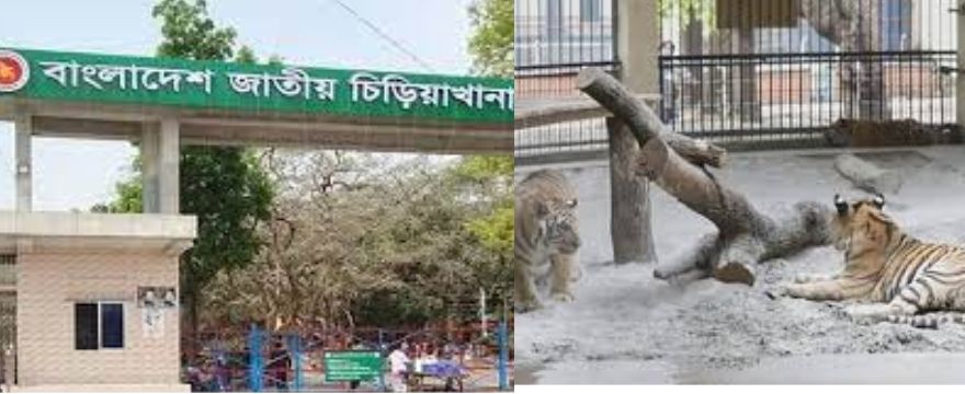 বাংলাদেশ জাতীয় চিড়িয়াখানা ঢাকা মিরপুর(Bangladesh National Zoo) - ঢাকা মিরপুর